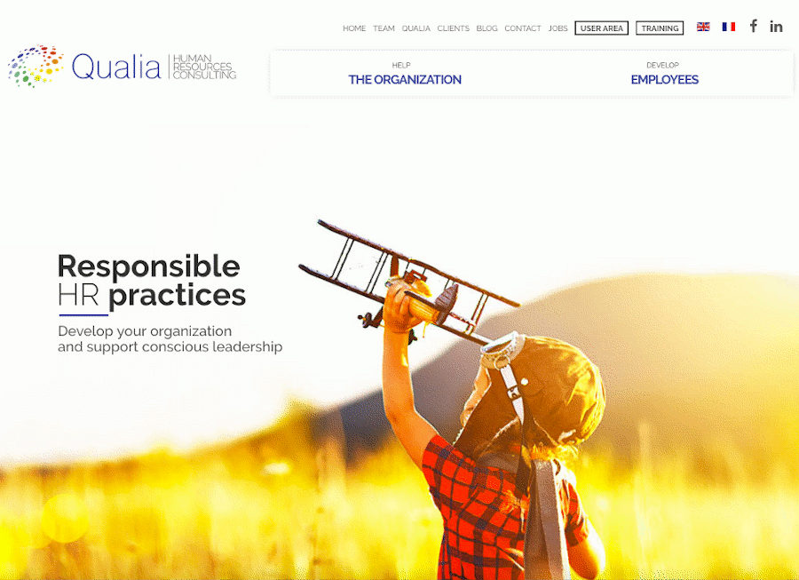 Screenshot of Qualia Consulting's website homepage